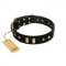 "De Luxe" FDT Artisan Black Leather Swiss Mountain Dog Collar with Old Bronze-like Plates and Studs