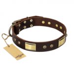 "Rich Fashion" FDT Artisan Decorated Leather Swiss Mountain Dog Collar with Plates and Studs