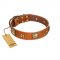 "Celtic Tunes" FDT Artisan Tan Leather Swiss Mountain Dog Collar Adorned with Stars and Squares