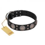 "Sun in Shining" Modern FDT Artisan Black Leather Swiss Mountain Dog Collar with Studs and Stars