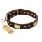 "Rich Fashion" FDT Artisan Decorated Leather Swiss Mountain Dog Collar with Plates and Studs