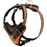 Handpainted in Flames Leather Swiss Mountain Dog Harness for Agitation Training