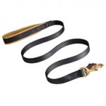 No Rubbing Nylon Swiss Mountain Dog Leash with Support Leather Material on the Handle