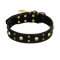 "Heavy Metal" Leather Swiss Mountain Dog Collar with Skulls and Studs 1 1/2 inch (40 mm)