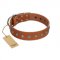 "Little Floret" Fashionable FDT Artisan Tan Leather Swiss Mountain Dog Collar with Silver-Like Adornments