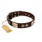 "Sense of Freedom" FDT Artisan Brown Leather Swiss Mountain Dog Collar with Old Bronze-Plated Studs and Plates