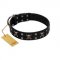 "Black Jack" Stylish Handmade FDT Artisan Black Leather Swiss Mountain Dog Collar