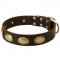 Designer Leather Swiss Mountain Dog Collar with Oval Plates