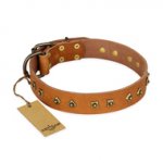"Autumn Story" FDT Artisan Leather Swiss Mountain Dog Collar with Old Bronze Look Studs