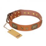 "Cosmic Traveller" FDT Artisan Adorned Leather Swiss Mountain Dog Collar with Old Bronze-Plated Stars and Plates