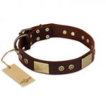 "Shining Armour" FDT Artisan Brown Leather Swiss Mountain Dog Collar with Decorations