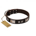 "Satin Beauts" FDT Artisan Brown Leather Swiss Mountain Dog Collar with Stars and Plates