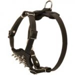 Durable Spiked Leather Puppy Swiss Mountain Dog Harness