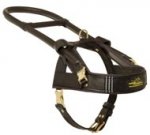 Guide and Assistance Leather Swiss Mountain Dog Harness