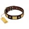 "Heavy Metal" FDT Artisan Brown Leather Swiss Mountain Dog Collar with Old Bronze-like Skulls and Plates