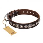 "Step and Sparkle" FDT Artisan Glamorous Studded Brown Leather Swiss Mountain Dog Collar