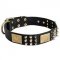 Spiked Leather Swiss Mountain Dog Collar with Plates and Cones