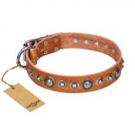 "Daily Chic" FDT Artisan Tan Leather Swiss Mountain Dog Collar with Decorations