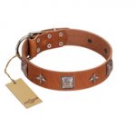 "Lucky Star" FDT Artisan Tan Leather Swiss Mountain Dog Collar with Silver-Like Embellishments