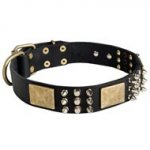 Spiked Leather Swiss Mountain Dog Collar with Plates and Cones