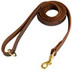 Stitched Leather Swiss Mountain Dog Leash for Training and Walking