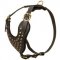 Adjustable Studded Leather Swiss Mountain Dog Harness for Fashion Walking