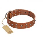 "Enchanted Skulls" FDT Artisan Tan Leather Swiss Mountain Dog Collar with Chrome Plated Skulls