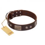 "Stone Stars" Stylish Handmade FDT Artisan Brown Leather Swiss Mountain Dog Collar