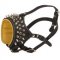 Royal Spiked and Studded Leather Swiss Mountain Dog Muzzle