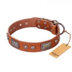 "Sparkling Skull" FDT Artisan Tan Leather Swiss Mountain Dog Collar with Old Silver Look Plates and Skulls