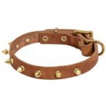 Walking Designer Leather Swiss Mountain Dog Collar with Brass Spikes