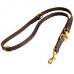 Multifunctional Leather Swiss Mountain Dog Leash