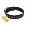 "Polar Lights" Designer FDT Artisan Black Leather Swiss Mountain Dog Collar with Silver-Like Studs
