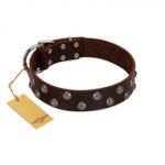 "Blossom Jewel" FDT Artisan Brown Leather Swiss Mountain Dog Collar with Two Rows of Silver-like Studs with Engraved Flowers