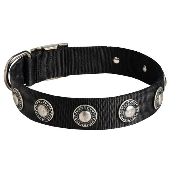 mountain dog collar