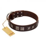 "Needle Stories" Modern FDT Artisan Brown Leather Swiss Mountain Dog Collar with Square Engraved Plates and Four-Point Stars