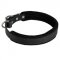 Padded Leather Swiss Mountain Dog Collar 25 mm for Dog Training