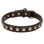 Swiss Mountain Dog Leather Collar Caterpillar Design