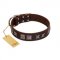 "Needle Stories" Modern FDT Artisan Brown Leather Swiss Mountain Dog Collar with Square Engraved Plates and Four-Point Stars