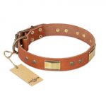 "Enchanting Spectacle" FDT Artisan Tan Leather Swiss Mountain Dog Collar with Old Bronze Look Plates and Round Studs