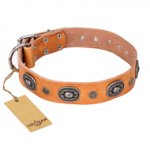 "Twinkle Twinkle" FDT Artisan Incredible Studded Tan Leather Swiss Mountain Dog Collar