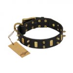 "Medieval Style" FDT Artisan Leather Swiss Mountain Dog Collar with Brass Plated Plates and Spikes
