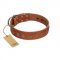 "Lucky Star" Handmade FDT Artisan Designer Tan Leather Swiss Mountain Dog Collar with Round Plates
