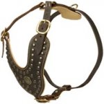 Royal Design Leather Swiss Mountain Dog Harness with Brass Studs