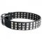 Leather Swiss Mountain Dog Collar with 3 Rows of Nickel Pyramids