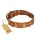 "Venus Breath" FDT Artisan Tan Leather Swiss Mountain Dog Collar with Vintage Looking Oval and Round Studs