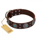 "Hypnotic Stones" FDT Artisan Brown Leather Swiss Mountain Dog Collar with Chrome Plated Brooches and Square Studs