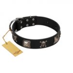 "Sea Rover" Embellished FDT Artisan Black Leather Swiss Mountain Dog Collar with Chrome Plated Crossbones and Plates