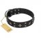 "Star Excitement" Modern FDT Artisan Black Leather Swiss Mountain Dog Collar with Studs and Stars