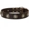 Leather Swiss Mountain Dog Collar Decorated with Silver Conchos